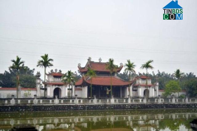 Hình ảnh Tuệ Tĩnh, Hải Phòng