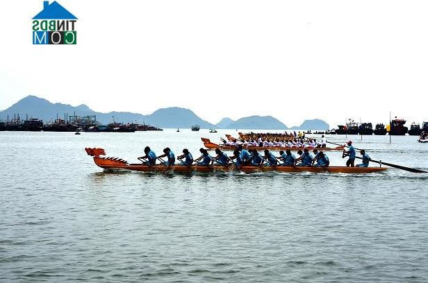 Hình ảnh Cát Hải, Hải Phòng