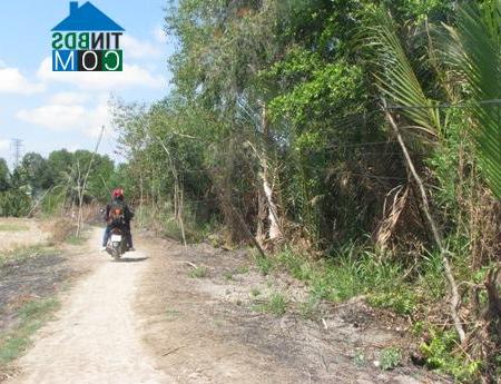 Hình ảnh Định Hòa, An Giang