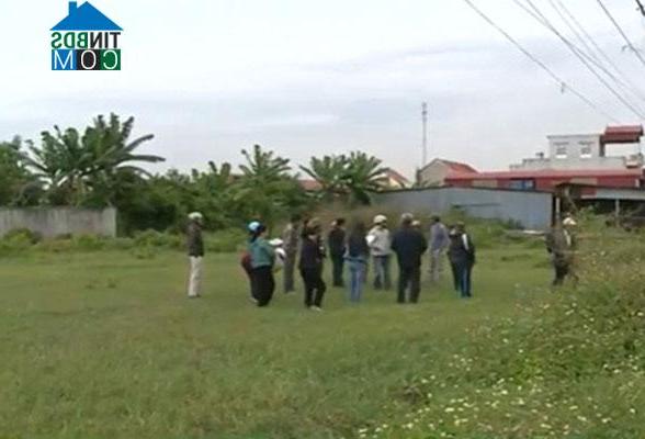 Hình ảnh Kiến Hải, Hải Phòng