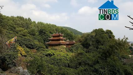 Hình ảnh Nhị Chiểu, Hải Phòng