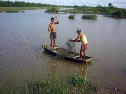 Hình ảnh Chấn Hưng, Hải Phòng