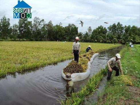 Hình ảnh U Minh Thượng, An Giang