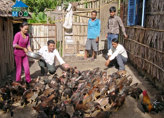 Hình ảnh Vĩnh Thông, An Giang