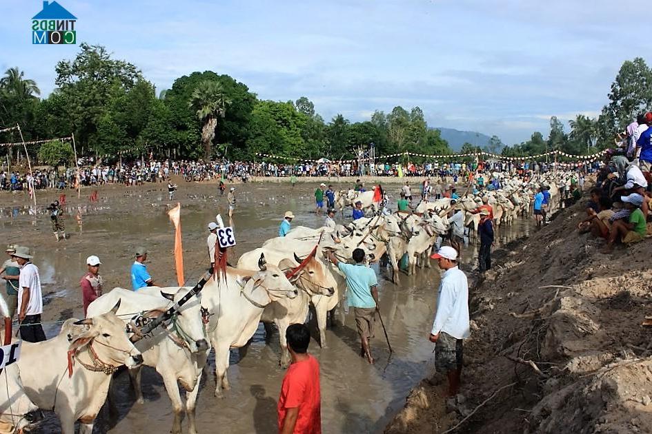 Hình ảnh An Cư, An Giang