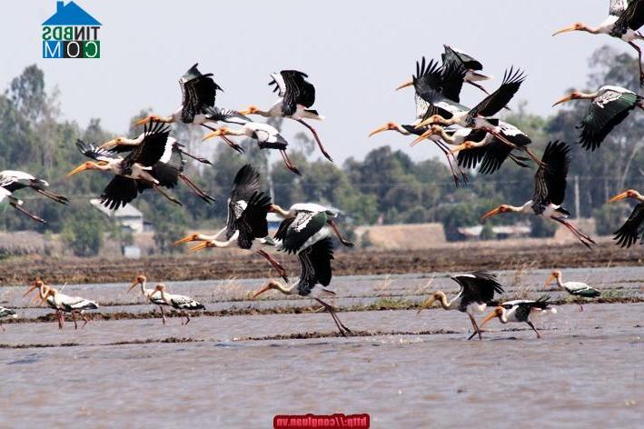 Hình ảnh Sơn Kiên, An Giang