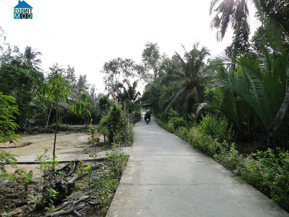 Hình ảnh Vĩnh Tuy, An Giang