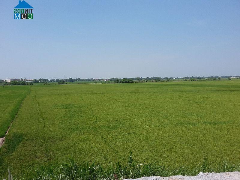 Hình ảnh Nhơn Hội, An Giang