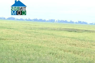 Hình ảnh Thạnh Đông, An Giang