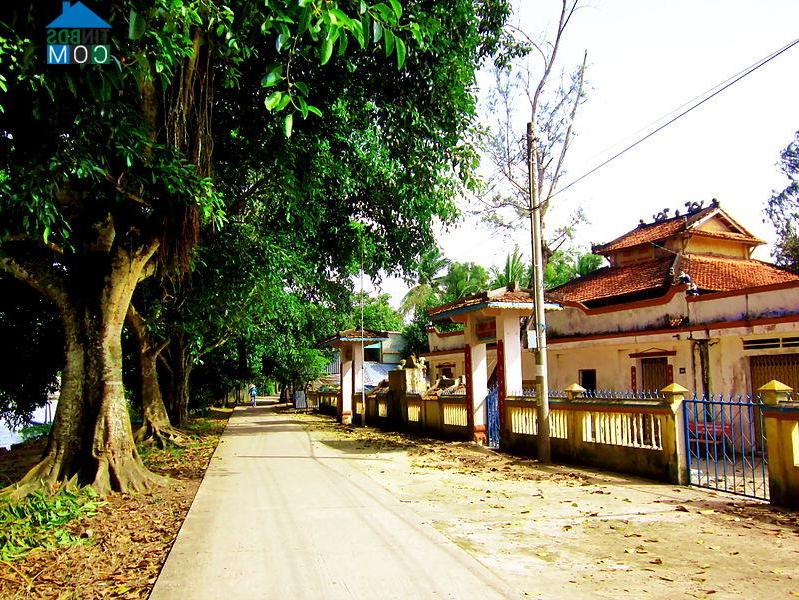 Hình ảnh Tân Hội, An Giang