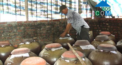 Hình ảnh Tân An, Bắc Ninh