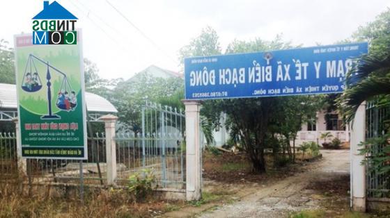 Hình ảnh Biển Bạch, Cà Mau