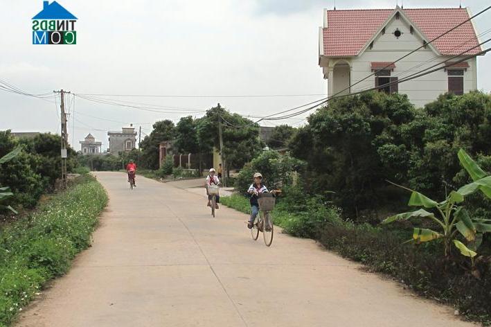 Hình ảnh Xuân Cẩm, Bắc Ninh