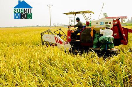 Hình ảnh Khánh Hưng, Cà Mau