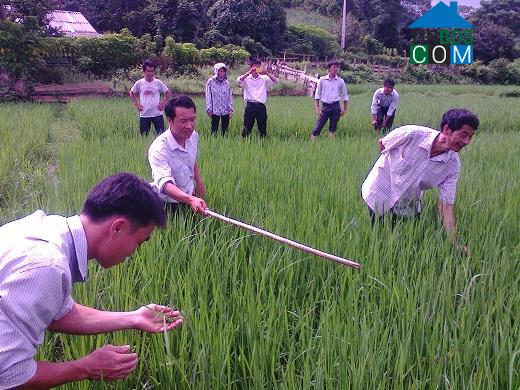 Hình ảnh Quỳ Châu, Nghệ An