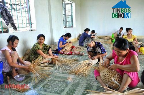 Hình ảnh Quỳnh Lưu, Nghệ An