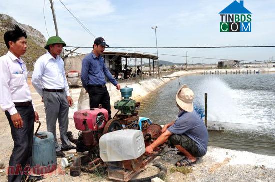 Hình ảnh Tân Mai, Nghệ An