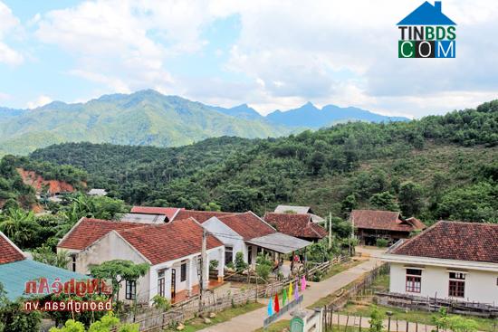 Hình ảnh Thông Thụ, Nghệ An