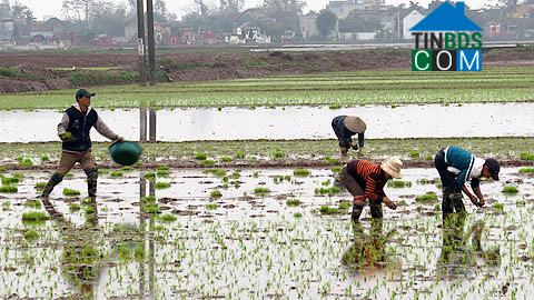 Hình ảnh Quang Hưng, Ninh Bình