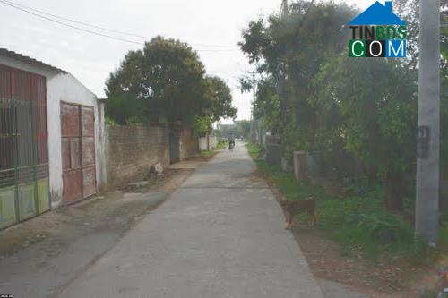 Hình ảnh Yên Mạc, Ninh Bình