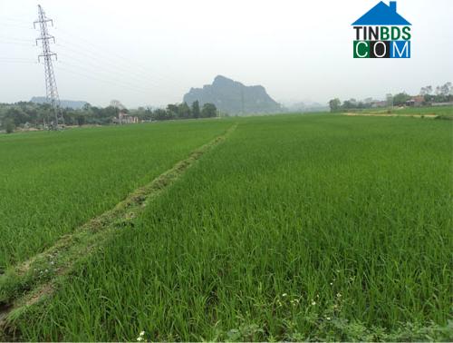 Hình ảnh Tam Hợp, Nghệ An