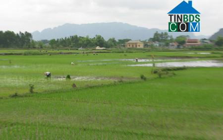 Hình ảnh Đại Hoàng, Ninh Bình