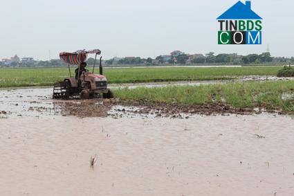 Hình ảnh Kim Sơn, Ninh Bình