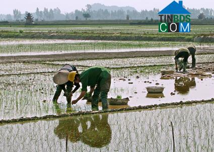 Hình ảnh Gia Phong, Ninh Bình