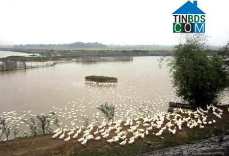 Hình ảnh Gia Tường, Ninh Bình