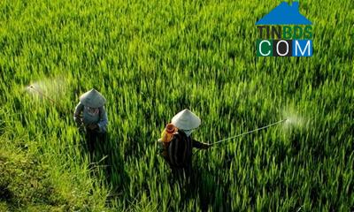 Hình ảnh Giao Bình, Ninh Bình