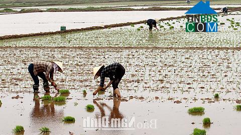 Hình ảnh Giao Hưng, Ninh Bình