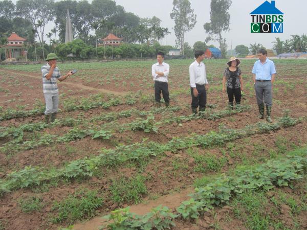 Hình ảnh Phù Vân, Ninh Bình