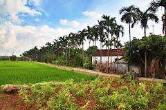 Hình ảnh Minh Thái, Ninh Bình