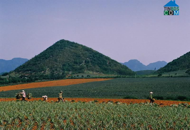 Hình ảnh Yên Sơn, Ninh Bình