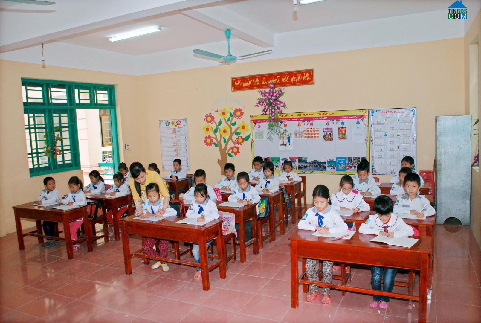 Hình ảnh Thanh Lâm, Ninh Bình