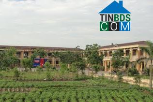 Hình ảnh Trần Thương, Ninh Bình