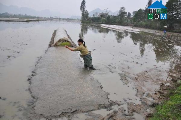 Hình ảnh Trung Sơn, Ninh Bình