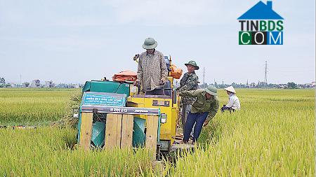 Hình ảnh Vũ Dương, Ninh Bình