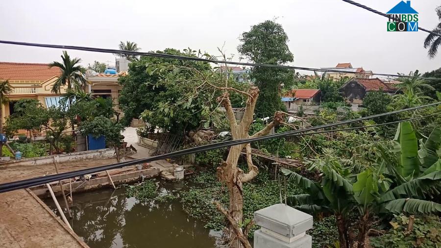 Hình ảnh Xuân Hồng, Ninh Bình