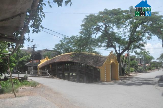 Hình ảnh Hải Anh, Ninh Bình