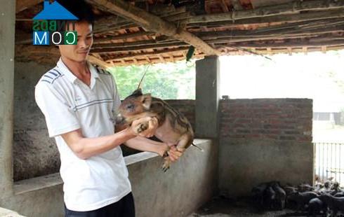 Hình ảnh Bình Tuyền, Phú Thọ