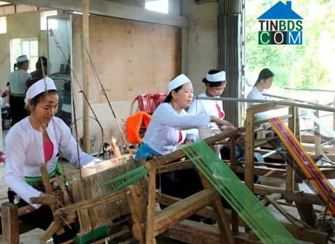 Hình ảnh Đại Đồng, Phú Thọ