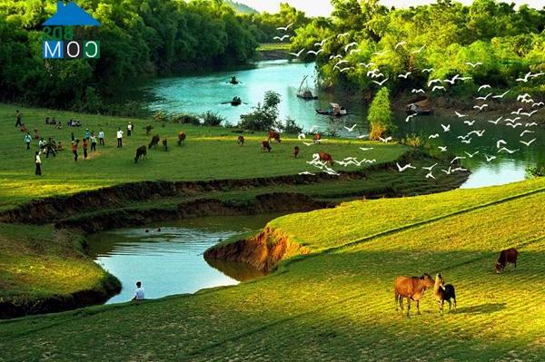 Hình ảnh Hải Lựu, Phú Thọ