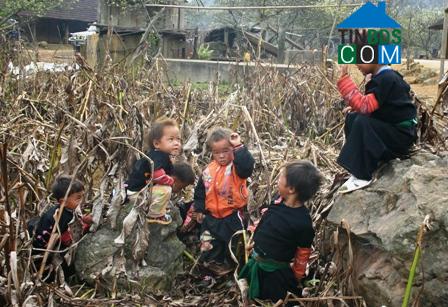 Hình ảnh Pà Cò, Phú Thọ