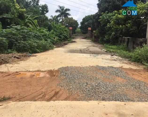 Hình ảnh Lương Sơn, Phú Thọ