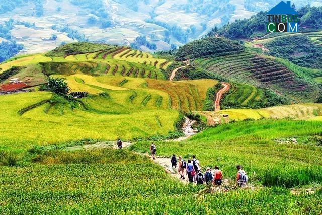 Hình ảnh Mai Châu, Phú Thọ