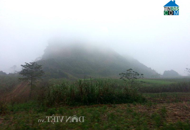 Hình ảnh Mường Động, Phú Thọ