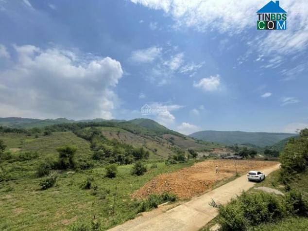 Hình ảnh Thịnh Minh, Phú Thọ