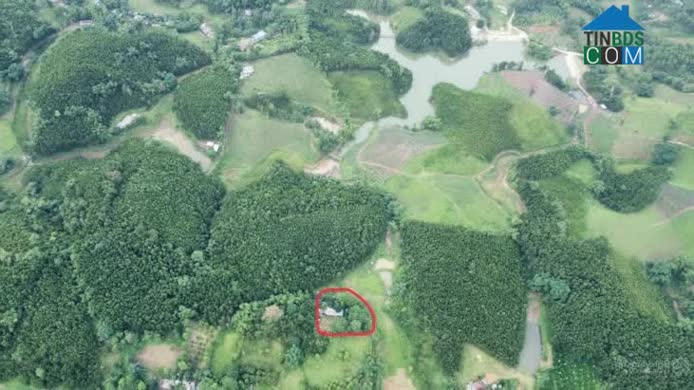 Hình ảnh Quyết Thắng, Phú Thọ