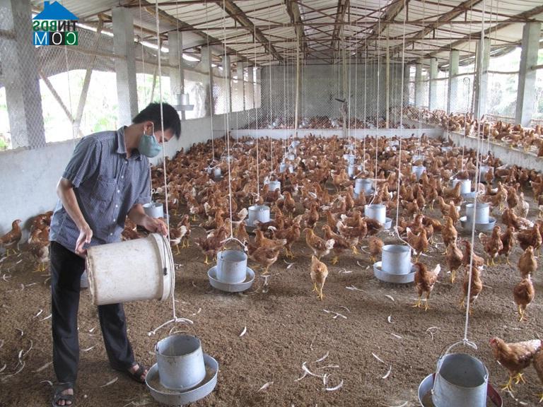 Hình ảnh Tam Sơn, Phú Thọ